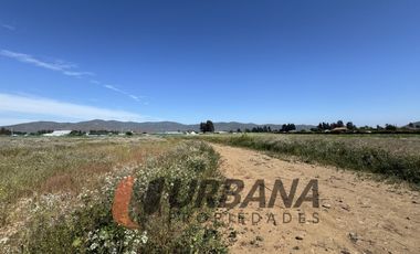 PARCELAS EN VENTA SECTOR PAN DE AZUCAR, COQUIMBO