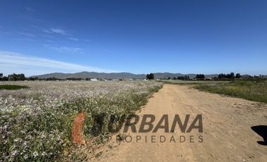 PARCELAS EN VENTA SECTOR PAN DE AZUCAR, COQUIMBO