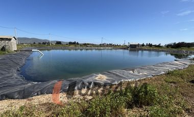 PARCELAS EN VENTA SECTOR PAN DE AZUCAR, COQUIMBO