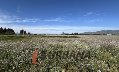PARCELAS EN VENTA SECTOR PAN DE AZUCAR, COQUIMBO