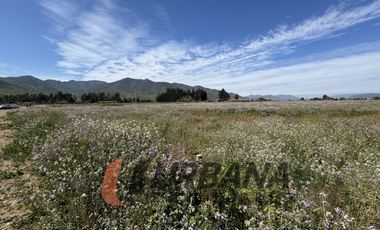 PARCELAS EN VENTA SECTOR PAN DE AZUCAR, COQUIMBO