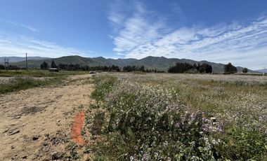 PARCELAS EN VENTA SECTOR PAN DE AZUCAR, COQUIMBO