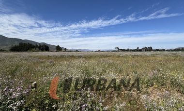 PARCELAS EN VENTA SECTOR PAN DE AZUCAR, COQUIMBO