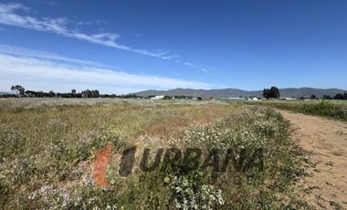 PARCELAS EN VENTA SECTOR PAN DE AZUCAR, COQUIMBO