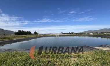 PARCELAS EN VENTA SECTOR PAN DE AZUCAR, COQUIMBO