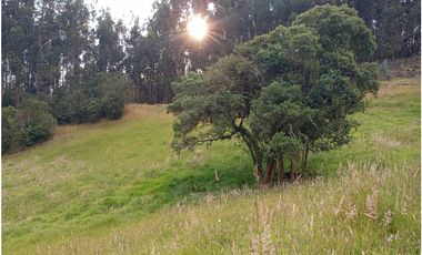 CASA CAMPESTRE SE VENDE ZIPAQUIR CUNDINAMARCA