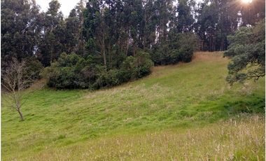 CASA CAMPESTRE SE VENDE ZIPAQUIR CUNDINAMARCA