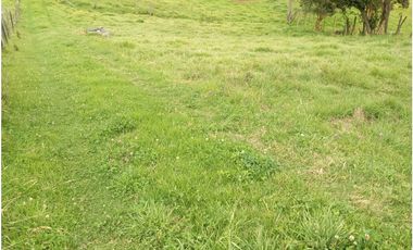 CASA CAMPESTRE SE VENDE ZIPAQUIR CUNDINAMARCA