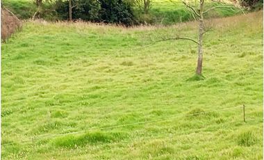 CASA CAMPESTRE SE VENDE ZIPAQUIR CUNDINAMARCA