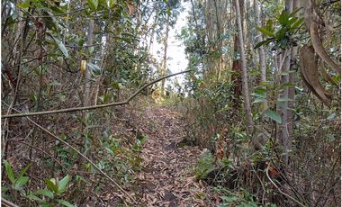 CASA CAMPESTRE SE VENDE ZIPAQUIR CUNDINAMARCA