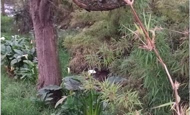 CASA CAMPESTRE SE VENDE ZIPAQUIR CUNDINAMARCA