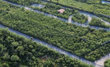 Video| Terreno frente a Aldea Conkal al norte de Mérida
