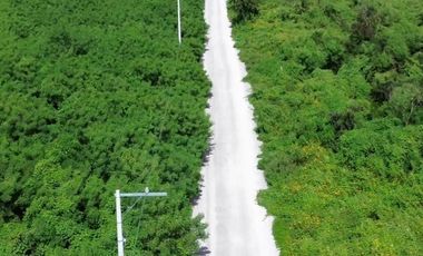 Video| Terreno frente a Aldea Conkal al norte de Mérida
