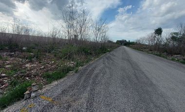 Video| Terreno frente a Aldea Conkal al norte de Mérida