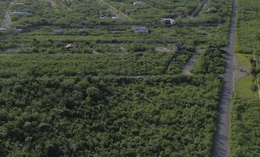 Video| Terreno frente a Aldea Conkal al norte de Mérida