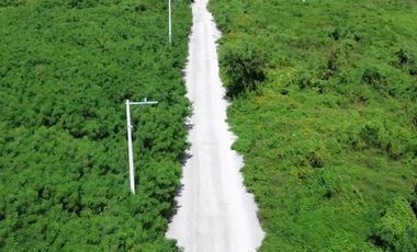 Video| Terreno frente a Aldea Conkal al norte de Mérida