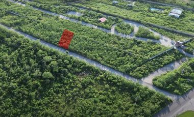 Video| Terreno frente a Aldea Conkal al norte de Mérida