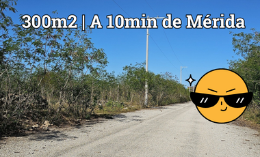 Video| Terreno frente a Aldea Conkal al norte de Mérida