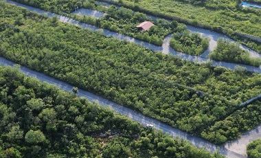 Video| Terreno frente a Aldea Conkal al norte de Mérida