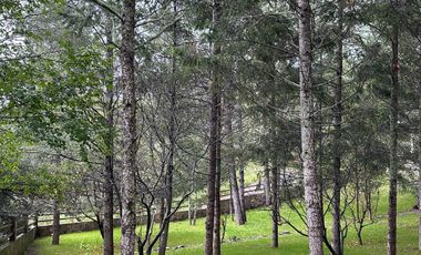 Cabaña en Venta - Bosques de Monterreal, Coahuila
