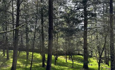 Cabaña en Venta - Bosques de Monterreal, Coahuila