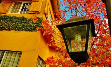 Casa en venta - 3 Dormitorios 3 Baños - Cochera - 388Mts2 - Zárate