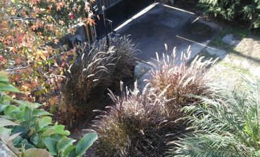 Casa en venta - 3 Dormitorios 3 Baños - Cochera - 388Mts2 - Zárate