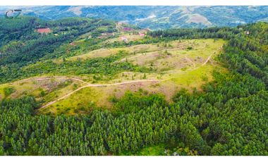 Venta de Finca - Sorá - Chame