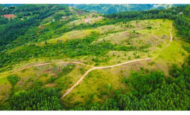 Venta de Finca - Sorá - Chame