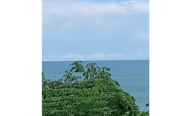 SAN CARLOS / PIEDRAS GORDAS / FRENTE AL  MAR  / 4 HECTREAS