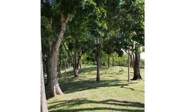 SAN CARLOS / PIEDRAS GORDAS / FRENTE AL  MAR  / 4 HECTREAS