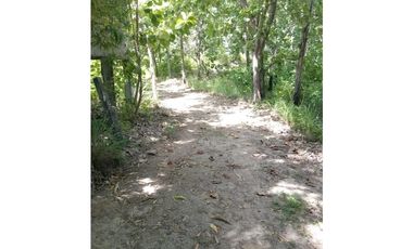 SAN CARLOS / PIEDRAS GORDAS / FRENTE AL  MAR  / 4 HECTREAS