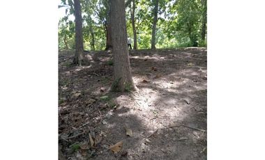 SAN CARLOS / PIEDRAS GORDAS / FRENTE AL  MAR  / 4 HECTREAS