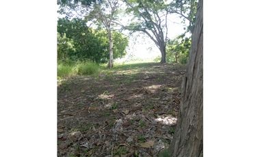 SAN CARLOS / PIEDRAS GORDAS / FRENTE AL  MAR  / 4 HECTREAS