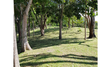 SAN CARLOS / PIEDRAS GORDAS / FRENTE AL  MAR  / 4 HECTREAS