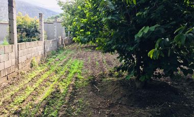 Venta casa y terreno en lindo sector de Guayllabamba