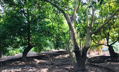 Venta casa y terreno en lindo sector de Guayllabamba