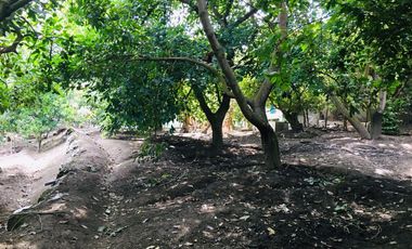 Venta casa y terreno en lindo sector de Guayllabamba