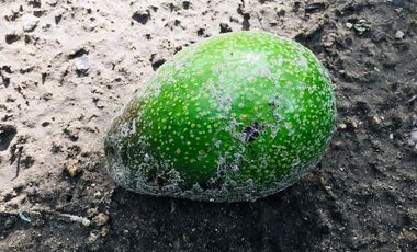 Venta casa y terreno en lindo sector de Guayllabamba