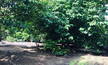 Venta casa y terreno en lindo sector de Guayllabamba