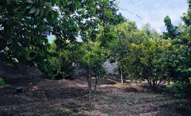 Venta casa y terreno en lindo sector de Guayllabamba