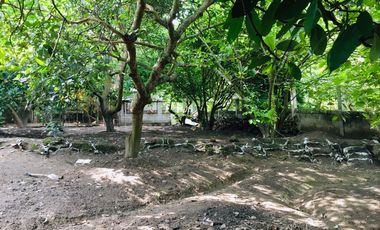 Venta casa y terreno en lindo sector de Guayllabamba