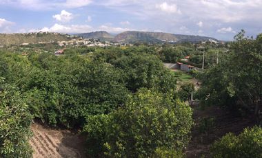 Venta casa y terreno en lindo sector de Guayllabamba