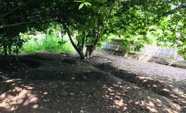 Venta casa y terreno en lindo sector de Guayllabamba