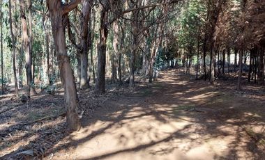 Departamento en venta en PUCHUNCAVÍ