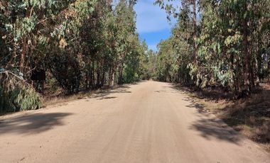 Departamento en venta en PUCHUNCAVÍ