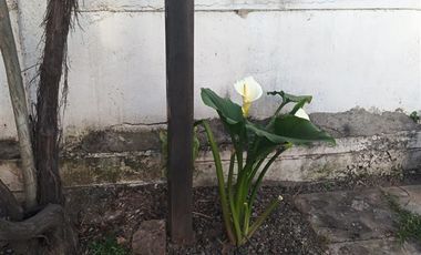 Casa en Venta en Calle San Pablo con Pasaje Roma