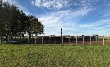 Terreno en Ruta 205 Km 187