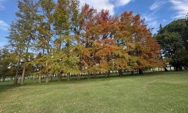 Terreno en Ruta 205 Km 187
