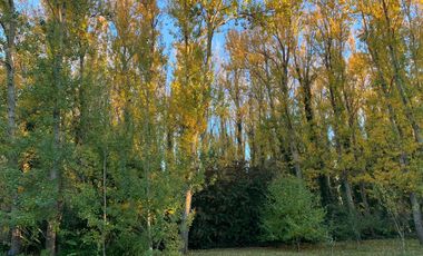 Casa en  Mar de Cobo